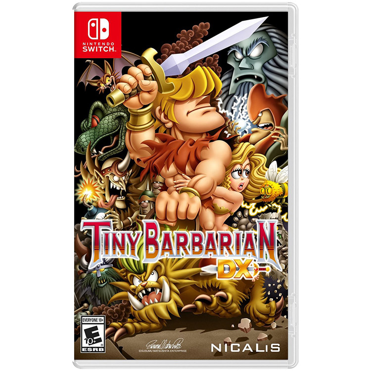 Tiny Barbarian Dx - Nintendo Switch کارکرده