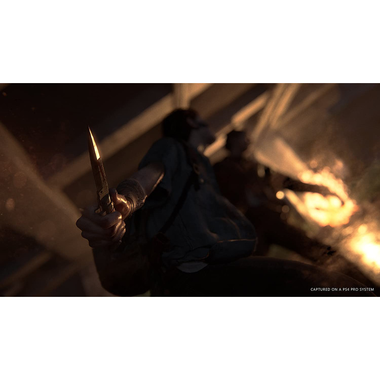 خرید بازی The Last of Us Part II نسخه Special برای PS4