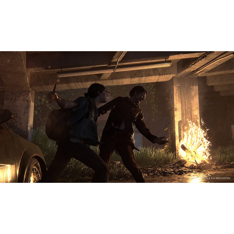 خرید بازی The Last of Us Part II نسخه Special برای PS4