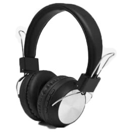 TSCO TH-5371 Wireless Headphone