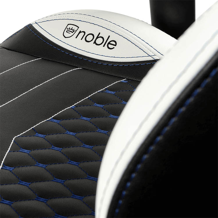 خرید صندلی گیمینگ Noblechairs EPIC - مدل SK GAMING EDITION