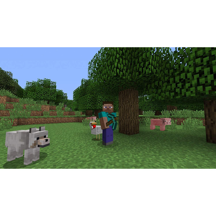 خرید بازی Minecraft | ریجن ۲