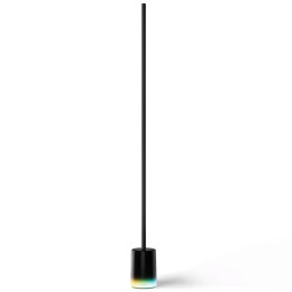 GoVee Floor Lamp 2