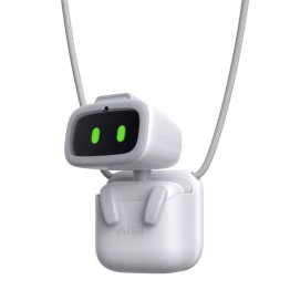 AIBI Pocket